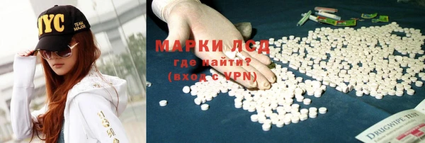 стаф Володарск