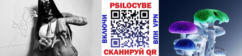 Галлюциногенные грибы GOLDEN TEACHER  Кедровый 