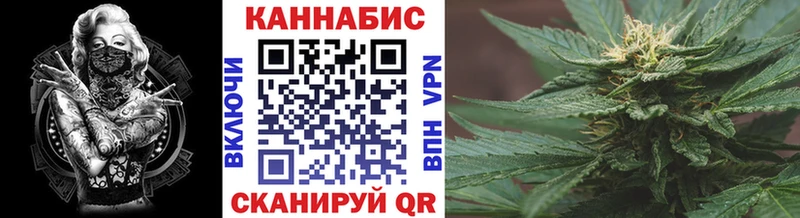 МАРИХУАНА планчик Кедровый